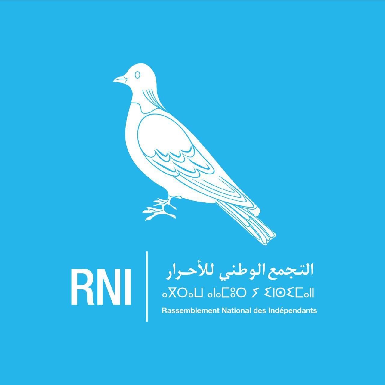 Logo Rassemblement National des Indépendants